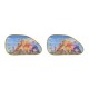 Parasolar Disney Pooh geam lateral forma